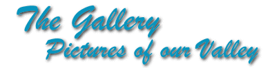 The Gallery